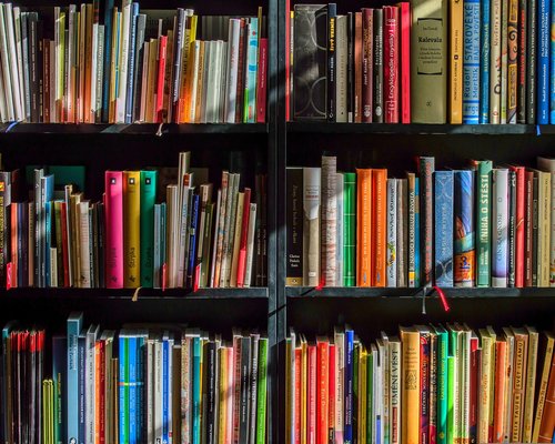 Organized bookshelves in the literature section of the library